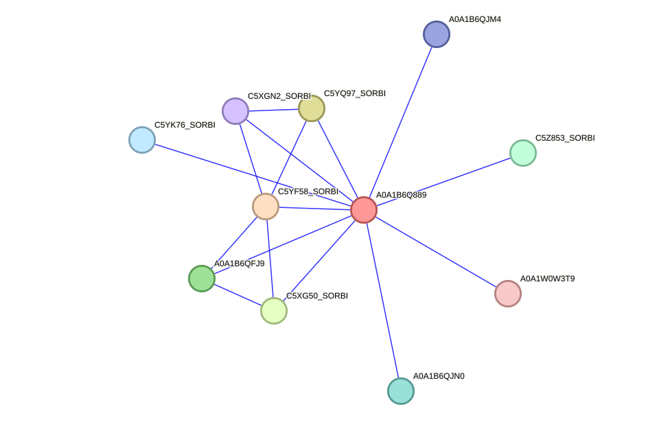 STRING protein interaction network
