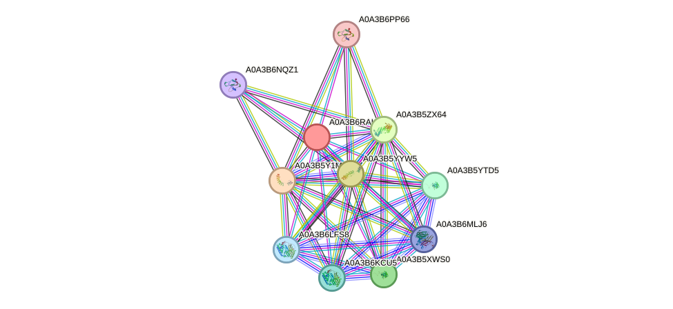 STRING protein interaction network