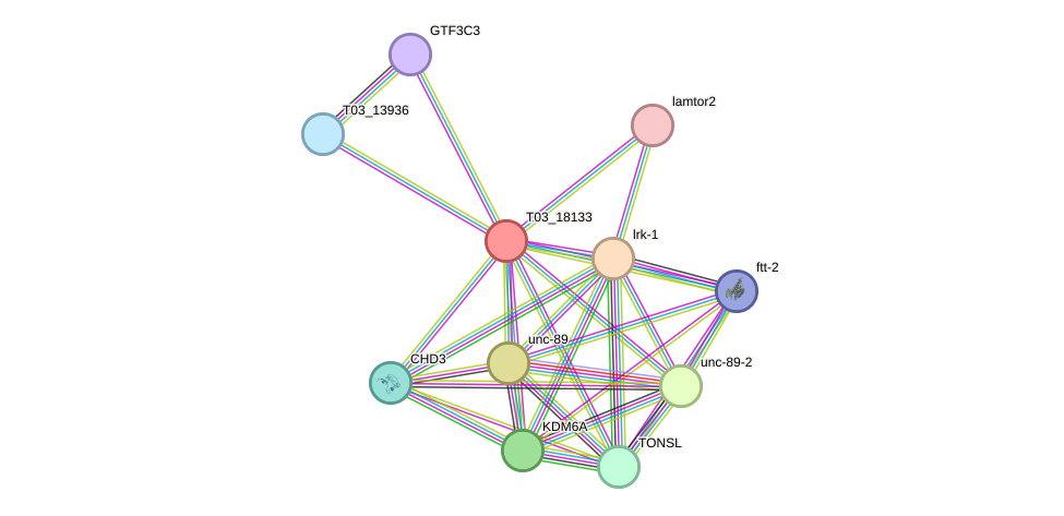 STRING protein interaction network