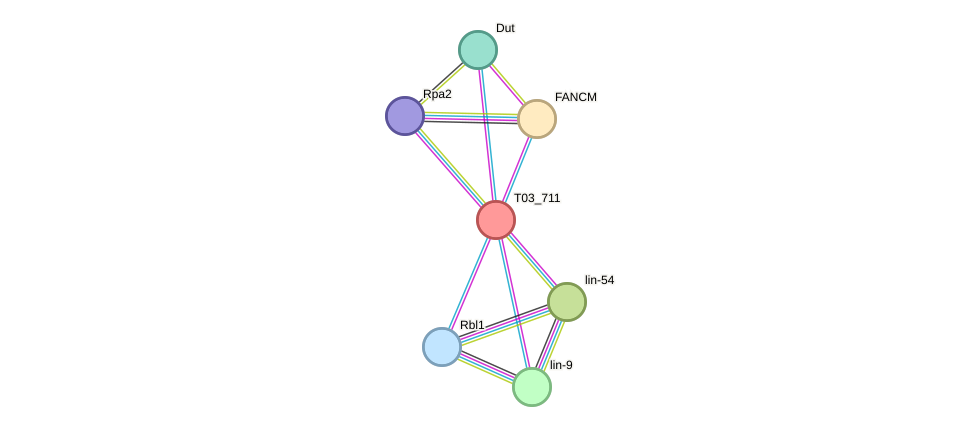 STRING protein interaction network