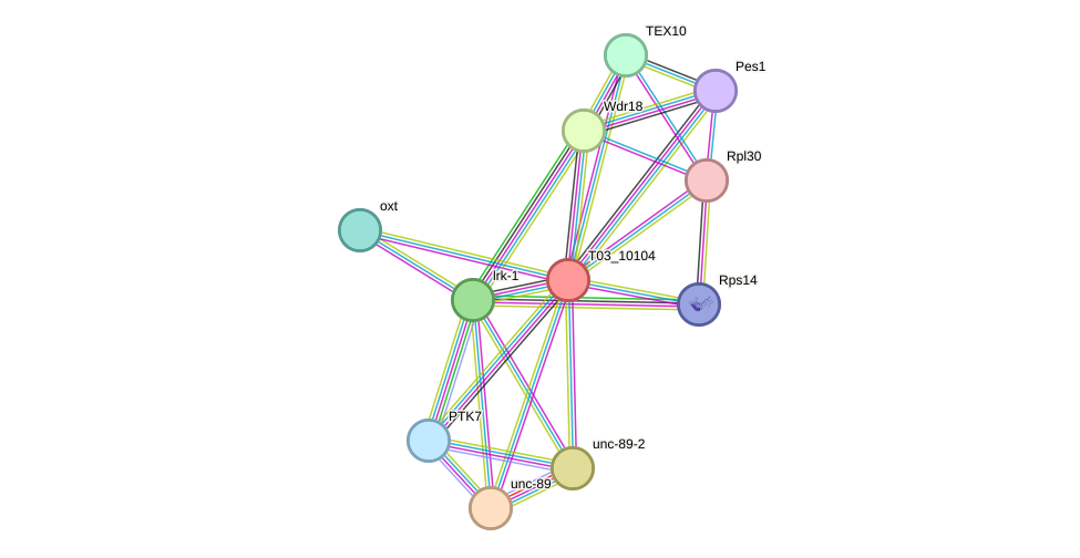 STRING protein interaction network