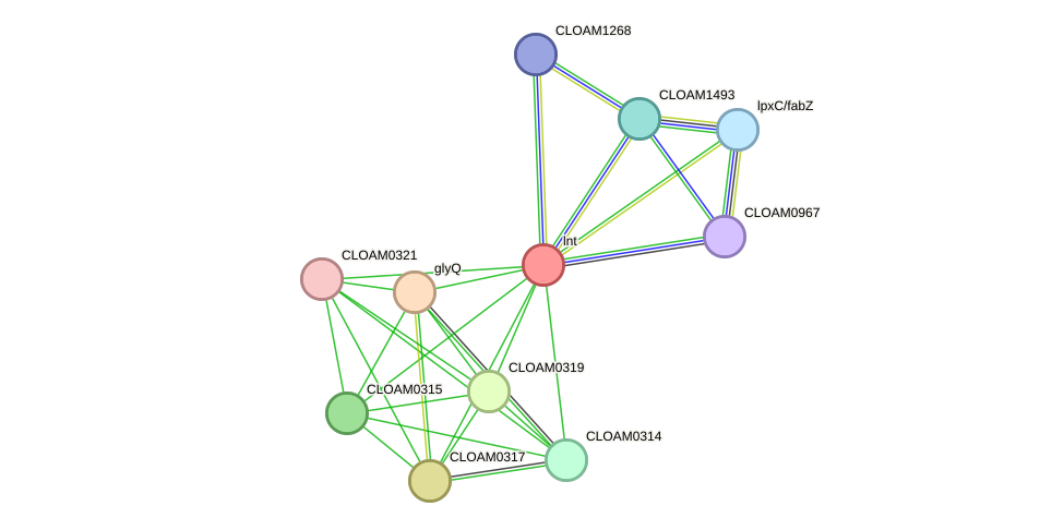STRING protein interaction network