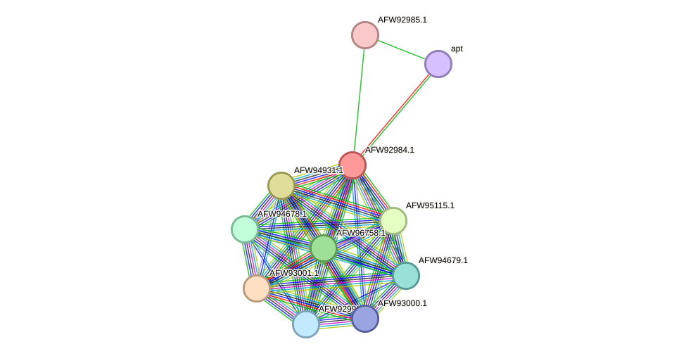 STRING protein interaction network