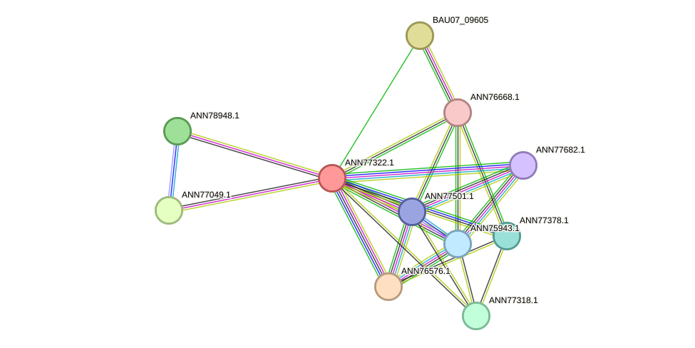 STRING protein interaction network