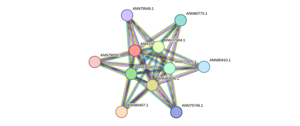 STRING protein interaction network