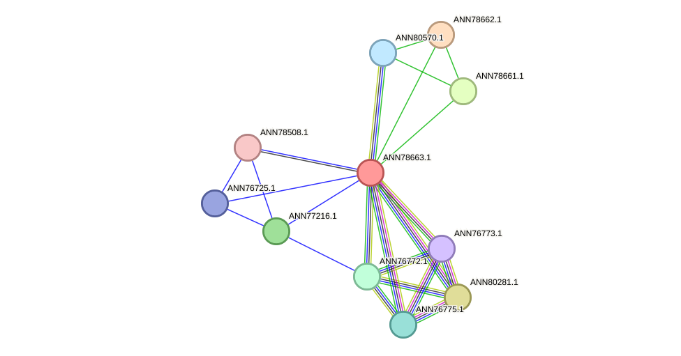 STRING protein interaction network