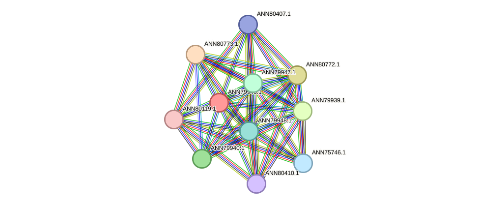 STRING protein interaction network
