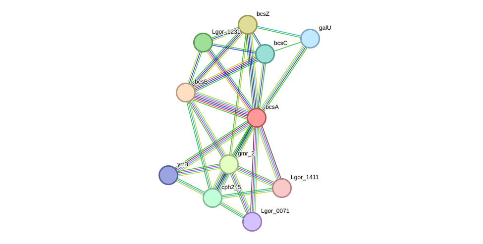 STRING protein interaction network