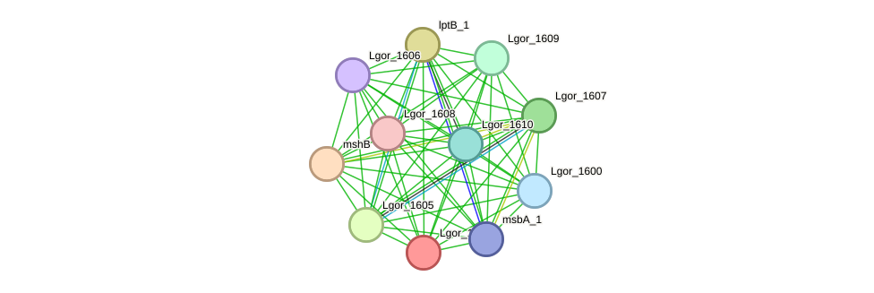 STRING protein interaction network