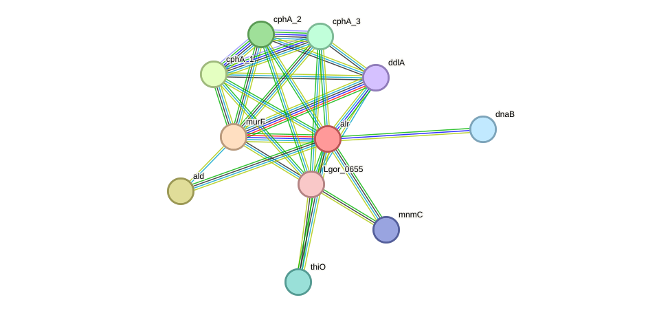 STRING protein interaction network