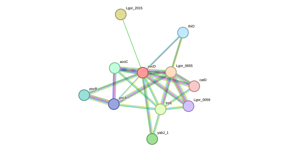 STRING protein interaction network