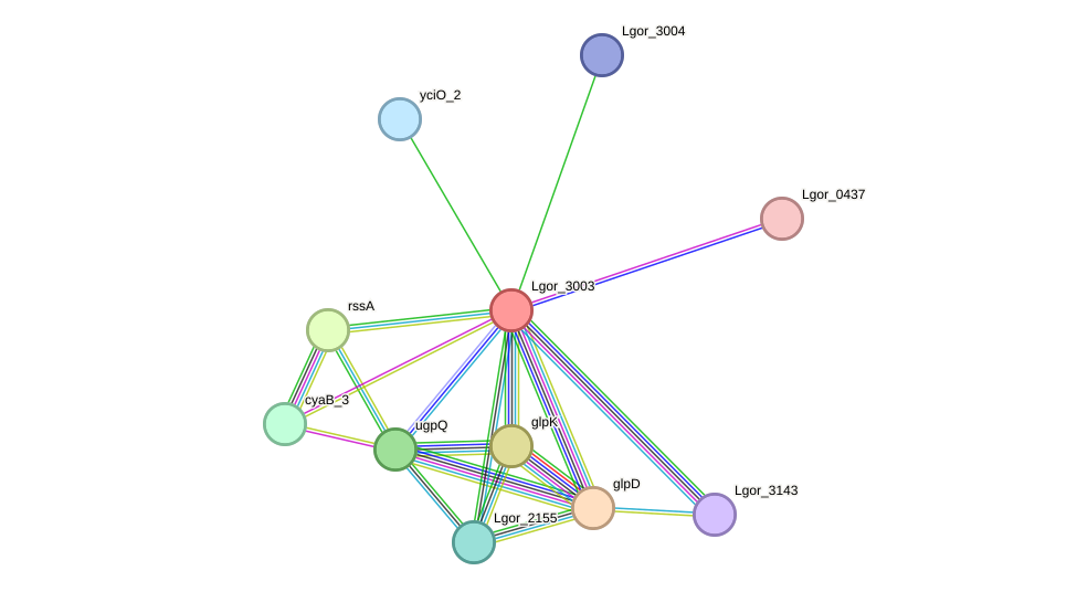 STRING protein interaction network