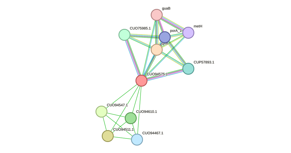 STRING protein interaction network