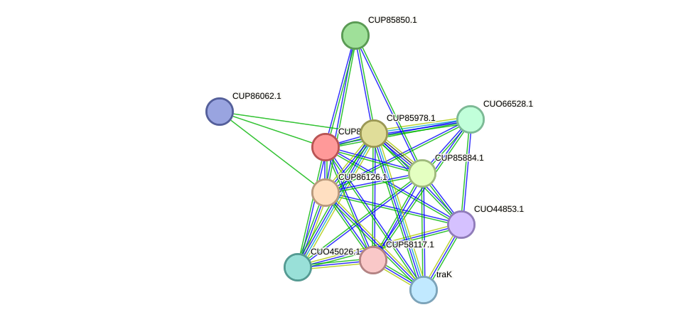 STRING protein interaction network