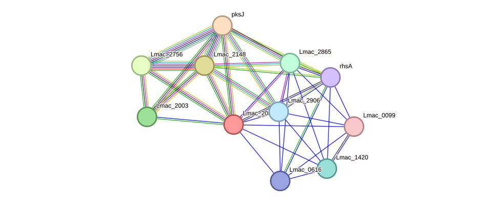 STRING protein interaction network