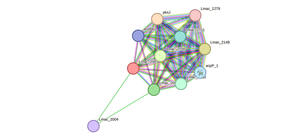 STRING protein interaction network