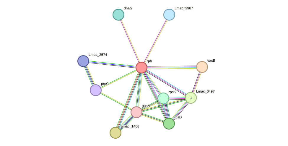 STRING protein interaction network