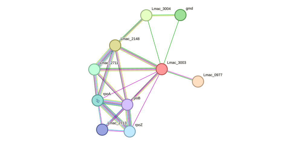 STRING protein interaction network
