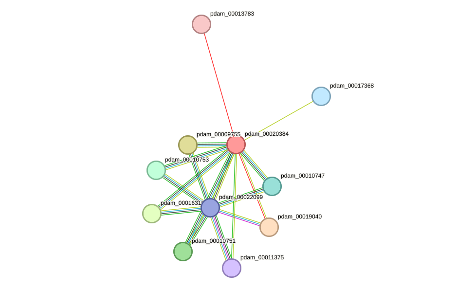 STRING protein interaction network