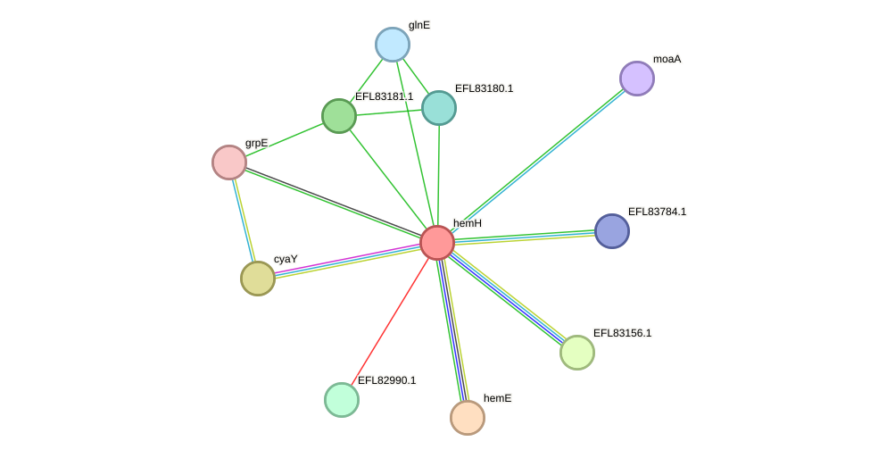 STRING protein interaction network