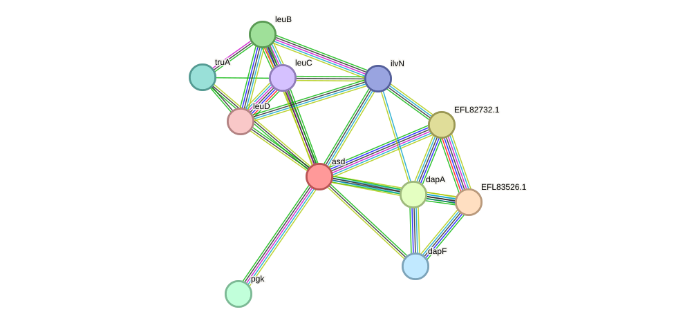 STRING protein interaction network