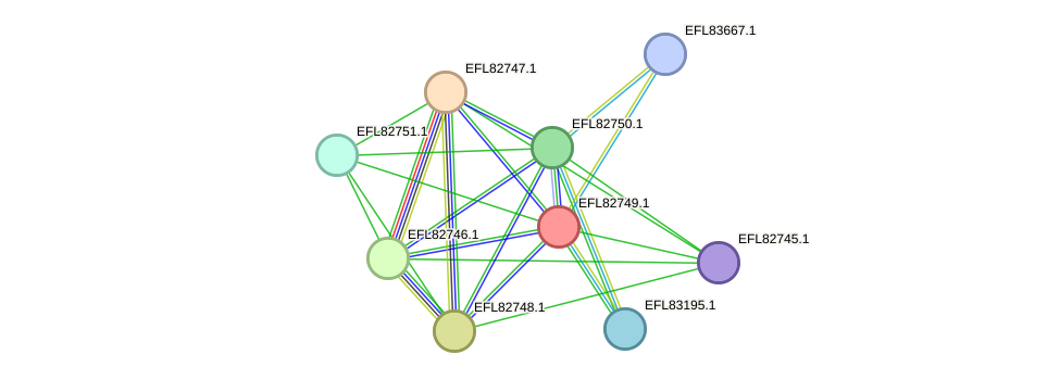 STRING protein interaction network