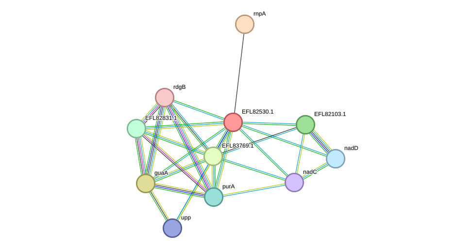 STRING protein interaction network