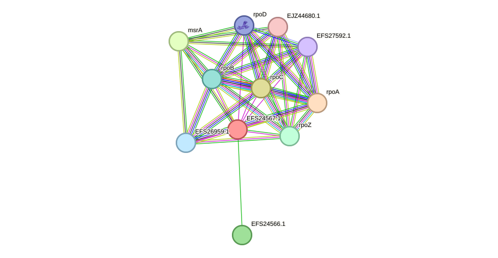 STRING protein interaction network