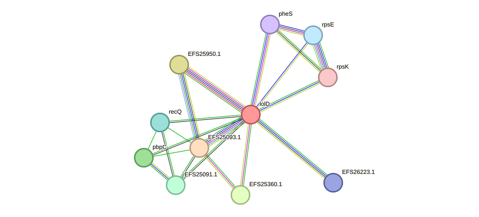 STRING protein interaction network