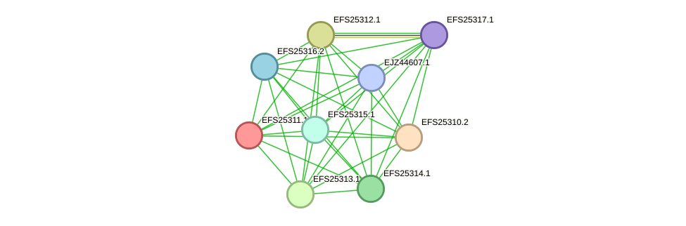 STRING protein interaction network