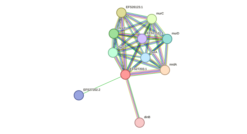 STRING protein interaction network