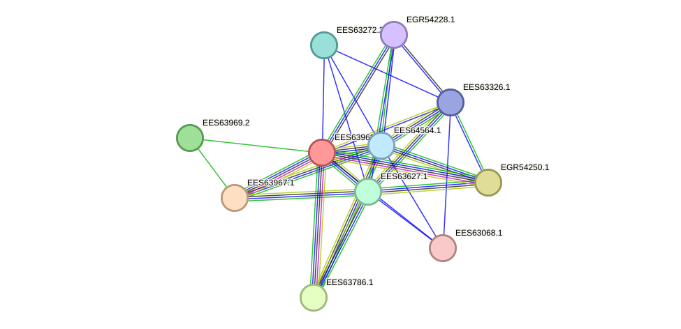 STRING protein interaction network