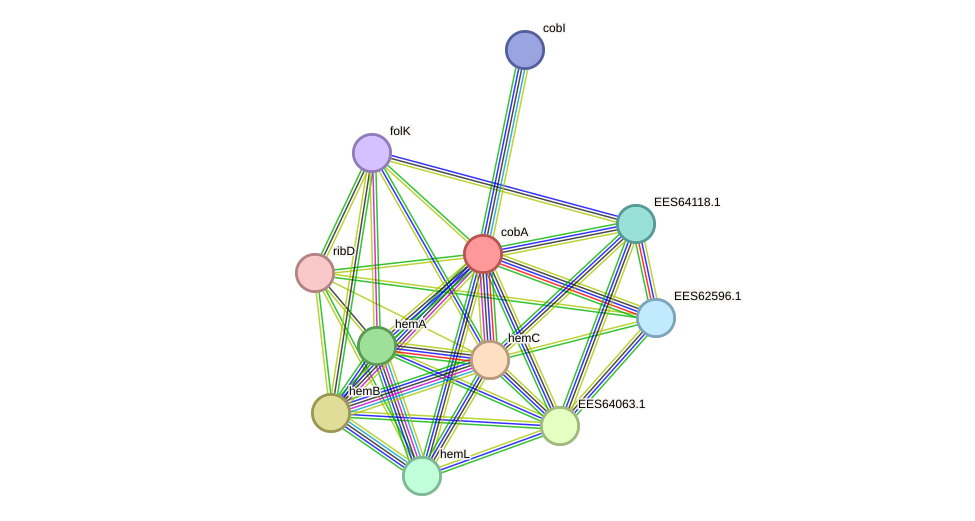 STRING protein interaction network