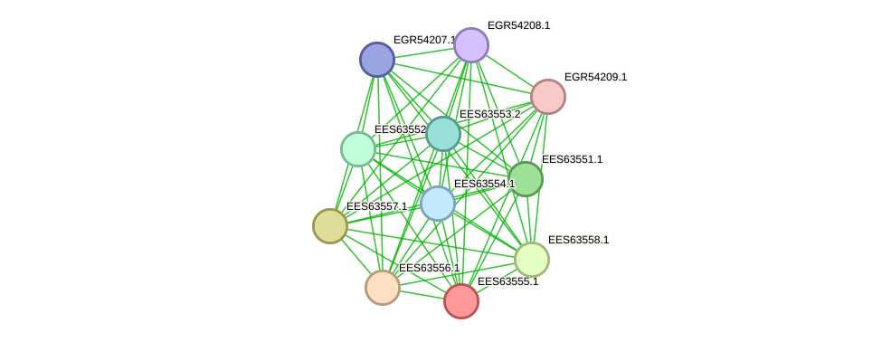 STRING protein interaction network