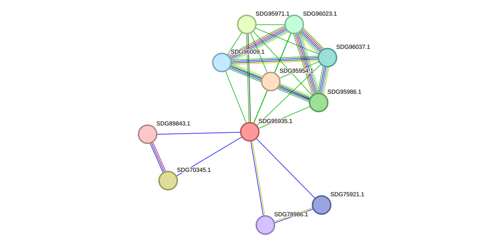 STRING protein interaction network