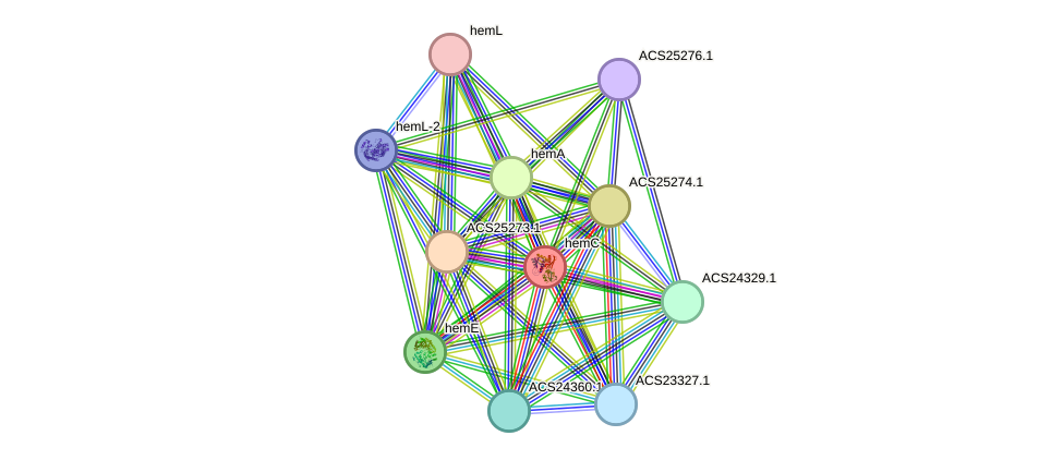 STRING protein interaction network