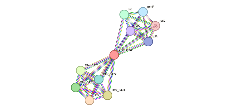 STRING protein interaction network