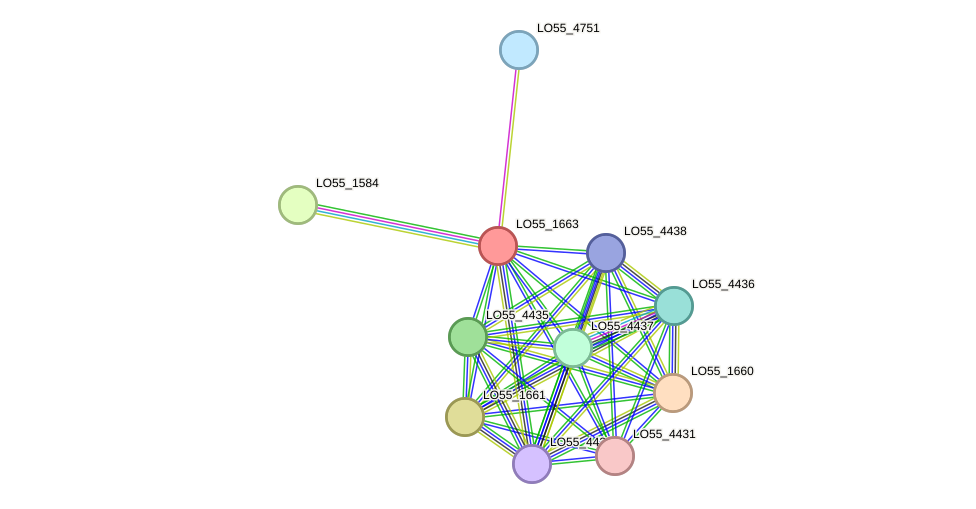 STRING protein interaction network