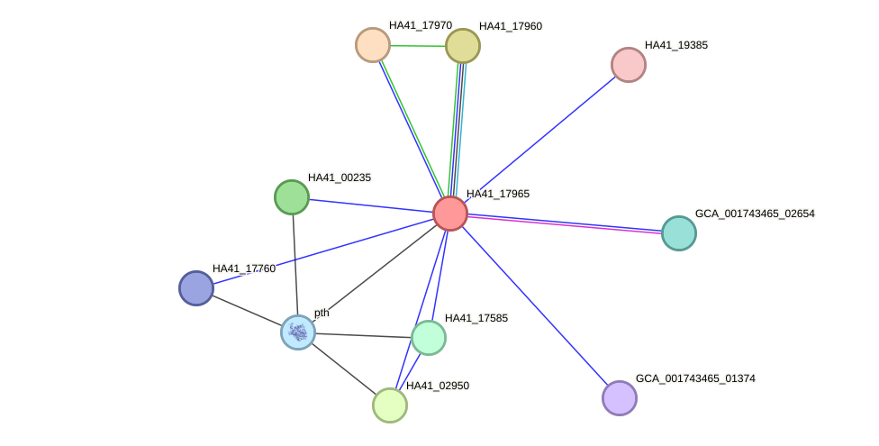 STRING protein interaction network