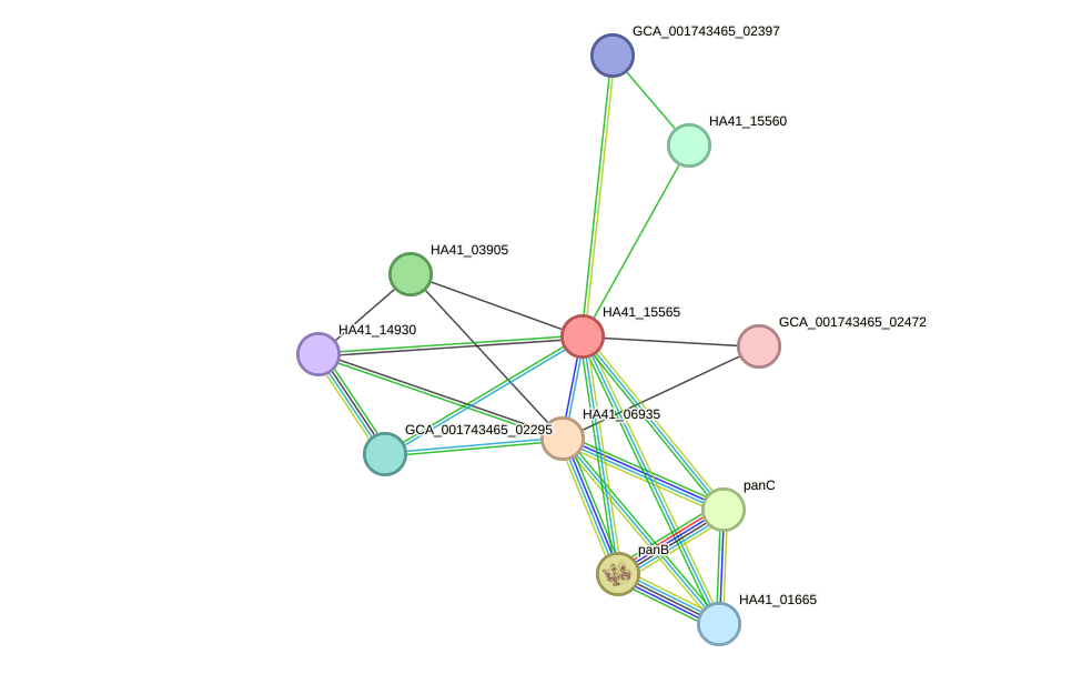 STRING protein interaction network