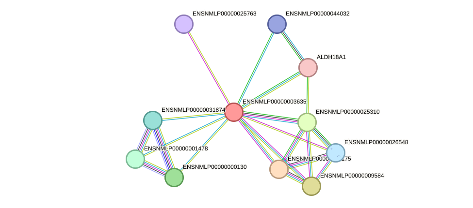 STRING protein interaction network