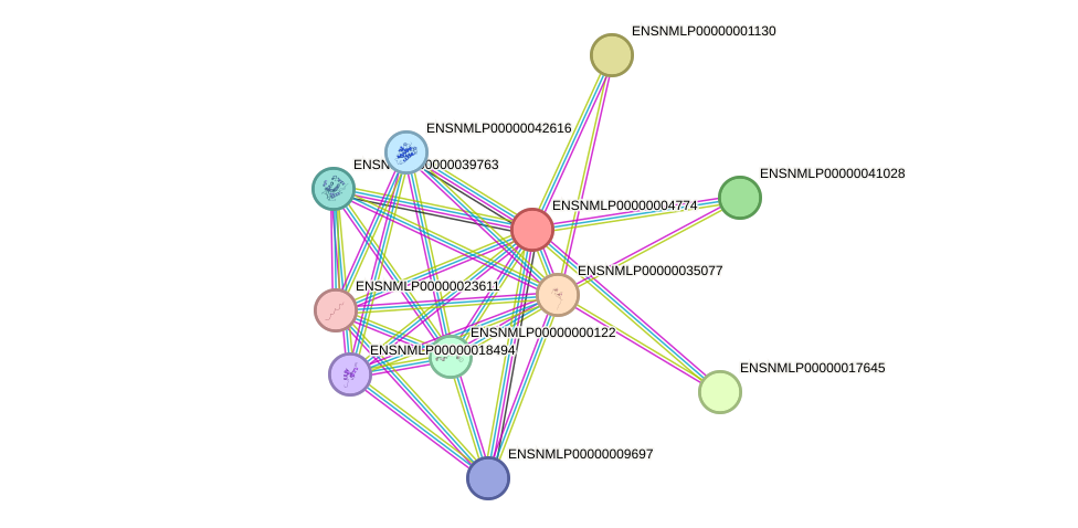 STRING protein interaction network