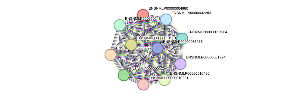 STRING protein interaction network