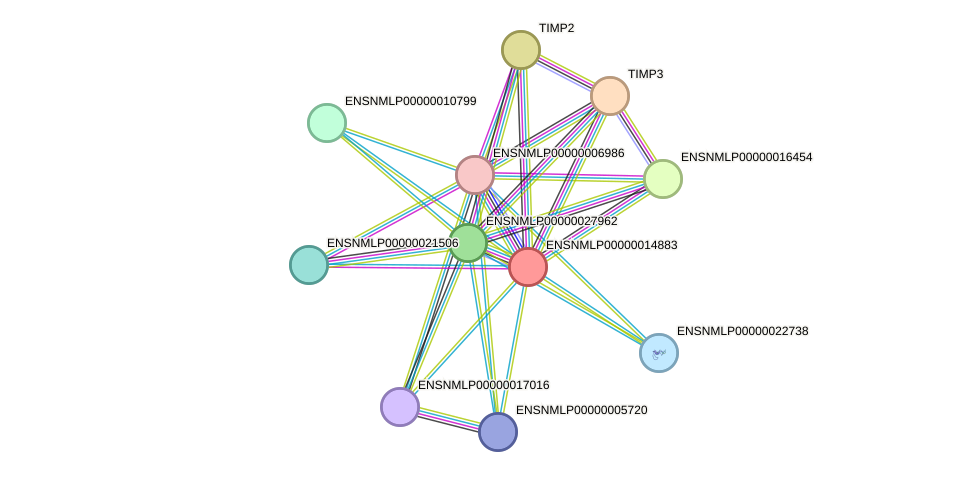 STRING protein interaction network