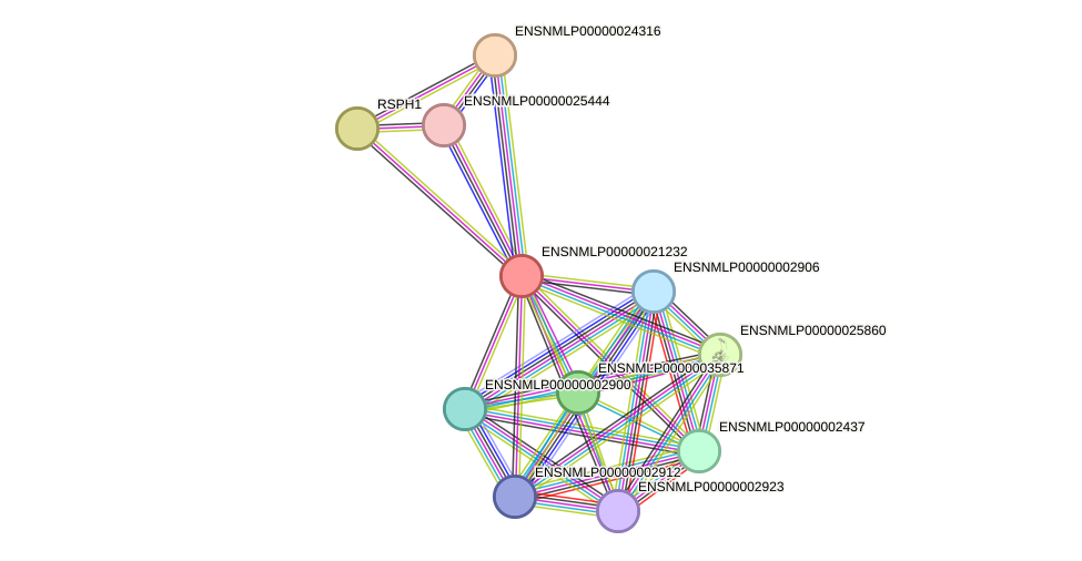 STRING protein interaction network