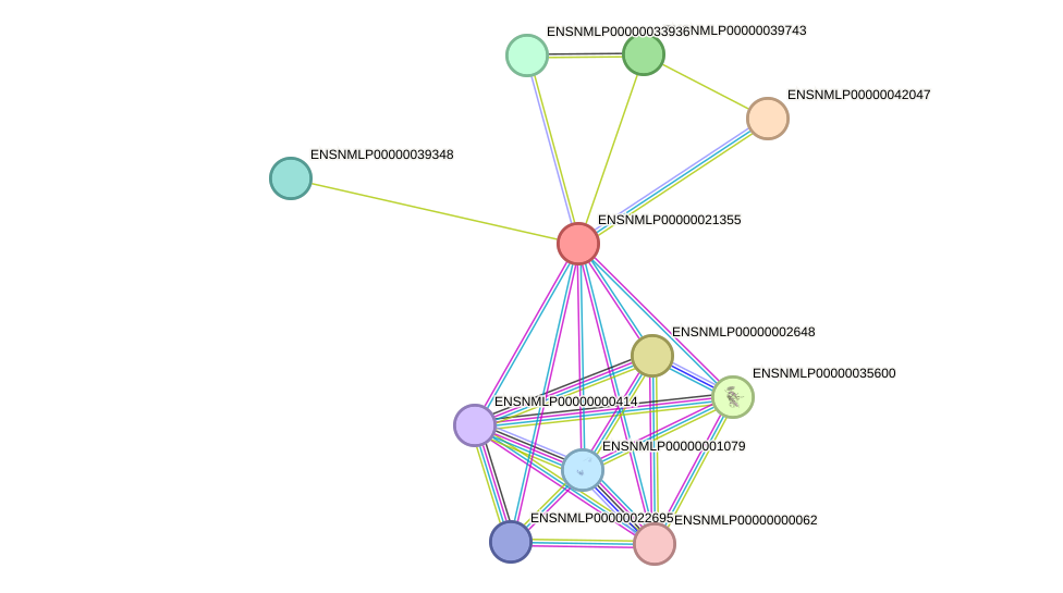 STRING protein interaction network