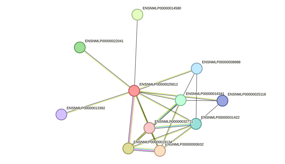 STRING protein interaction network