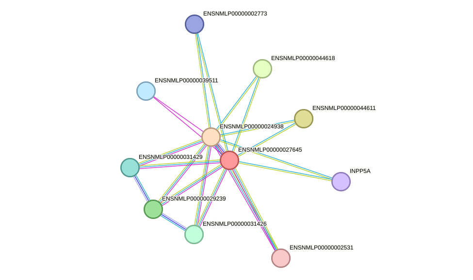 STRING protein interaction network