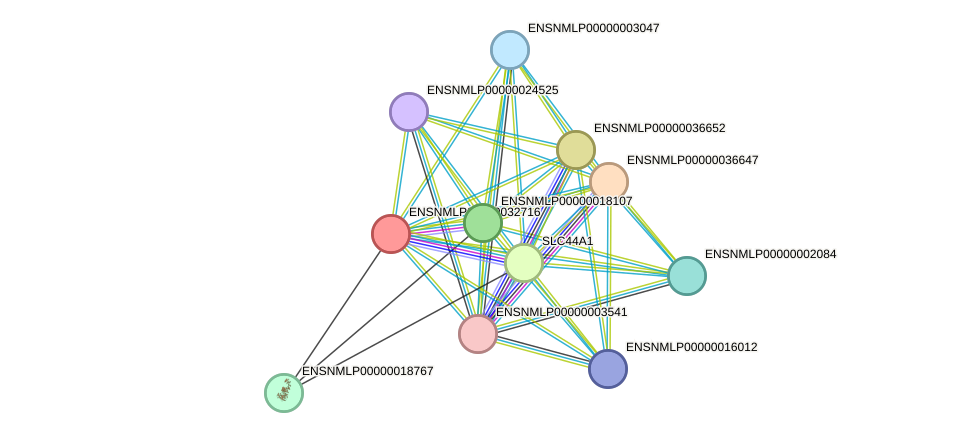 STRING protein interaction network