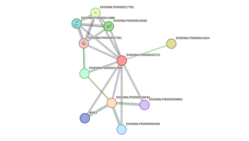 STRING protein interaction network